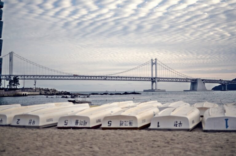 the view of the Busan Gwangan Bridge