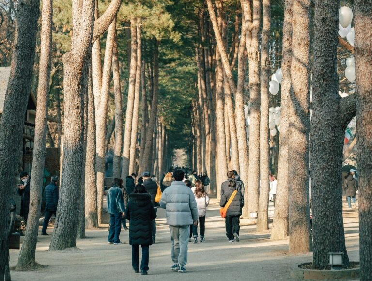 Nami Island