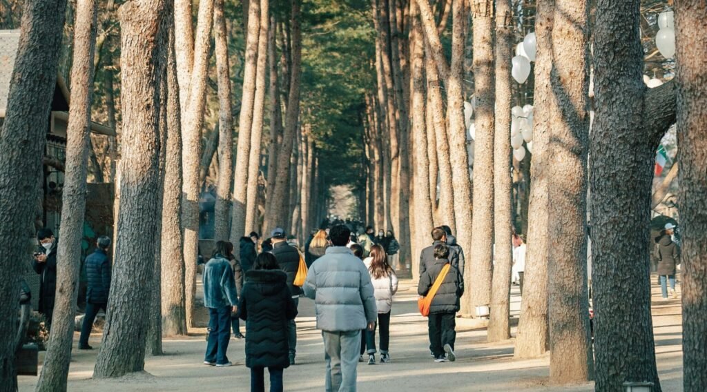 Nami Island