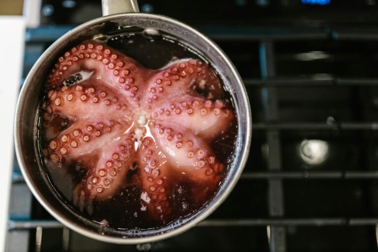 live octopus eating in korea