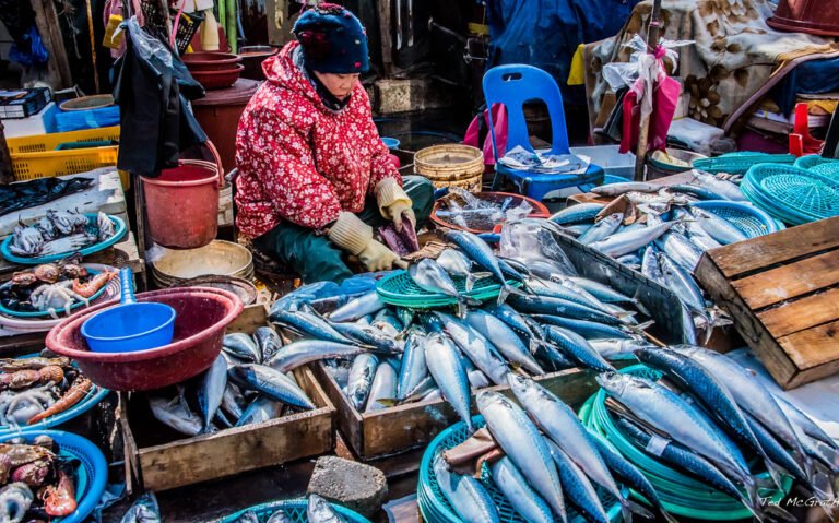 Jagalchi Fish Market