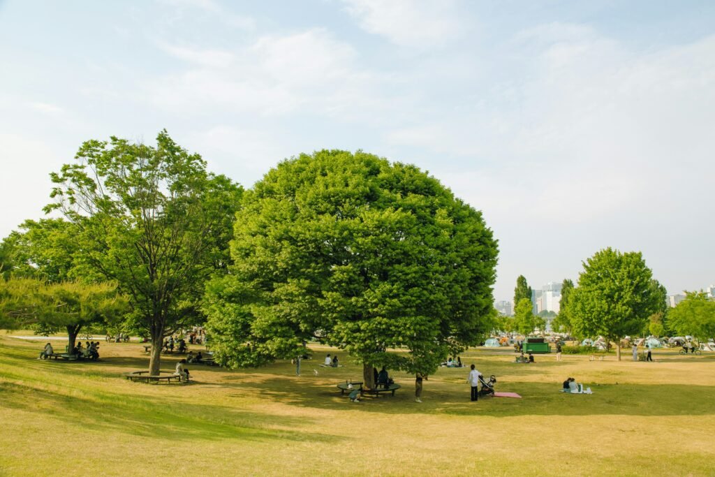 Yeouido Hangang Park