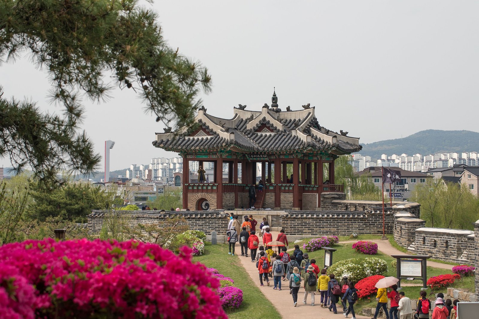 Read more about the article Best Things to do in Suwon-si in 2024