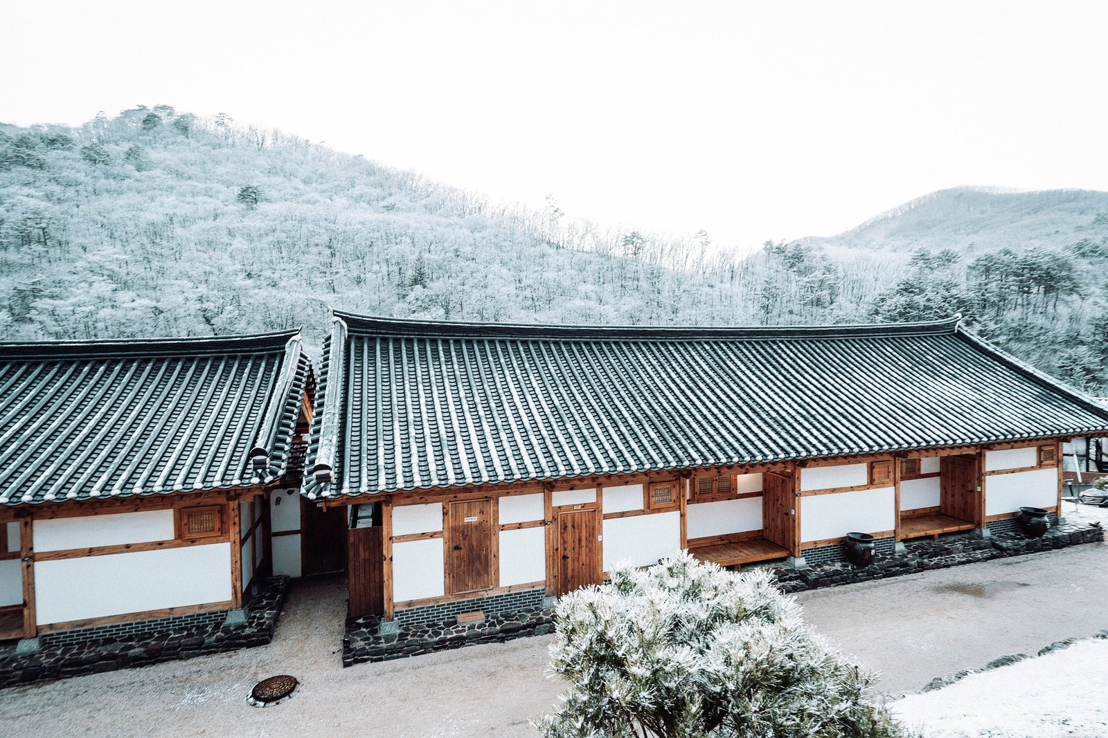 korea weather in January