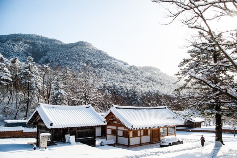 weather in February in Korea