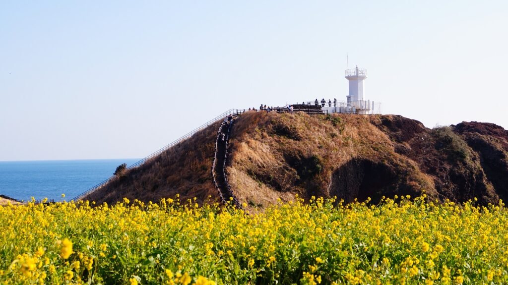 Jeju island