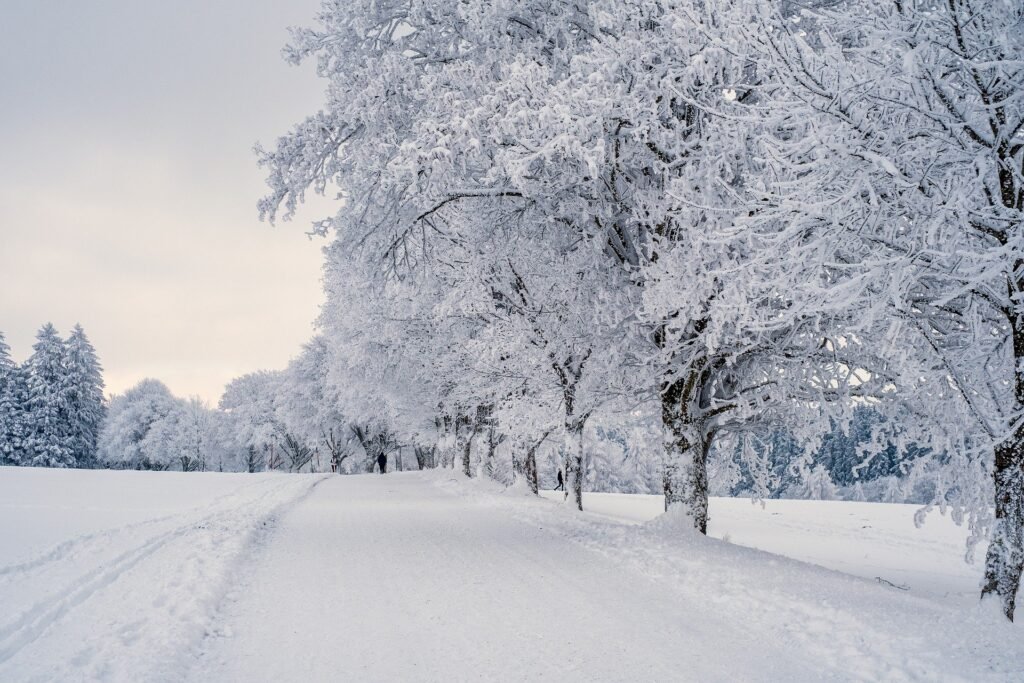 Korea in winter