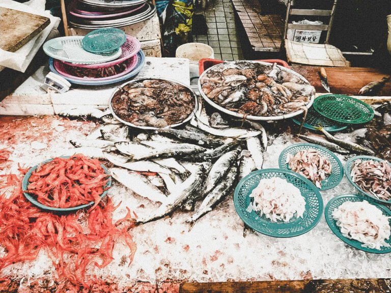 Sokcho Fish Market