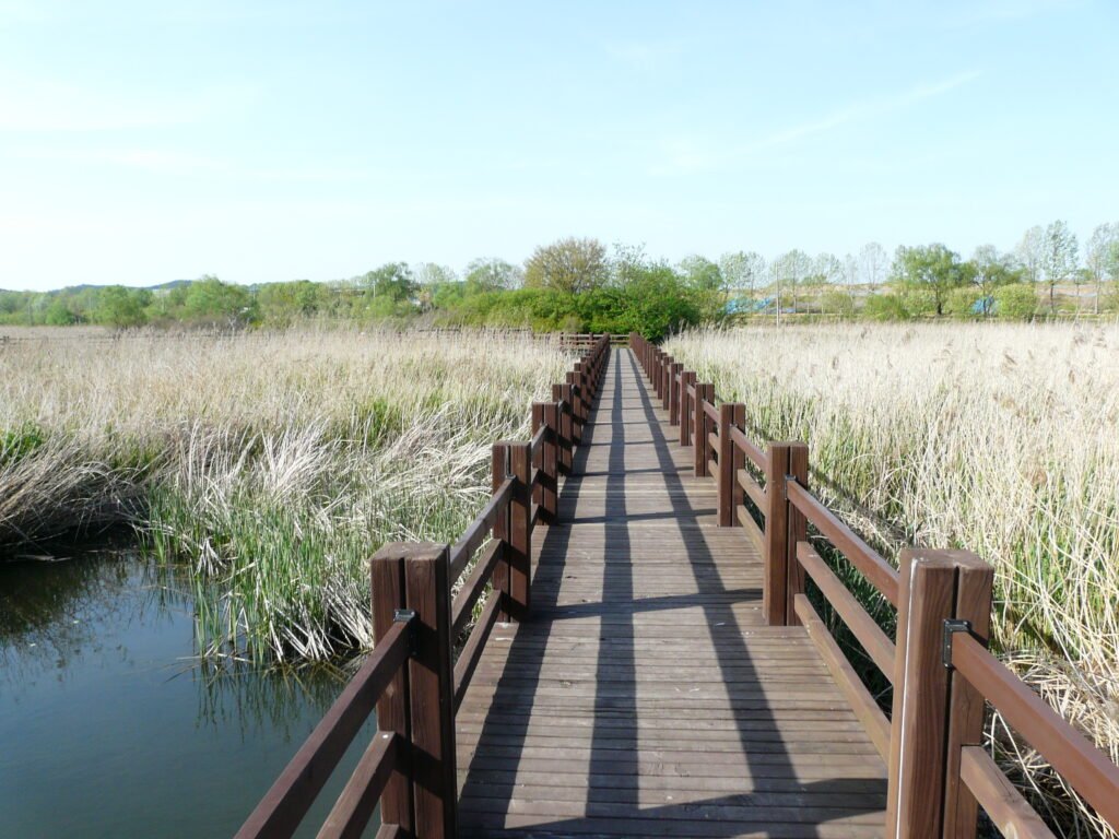 Ansan Reed Marsh Park