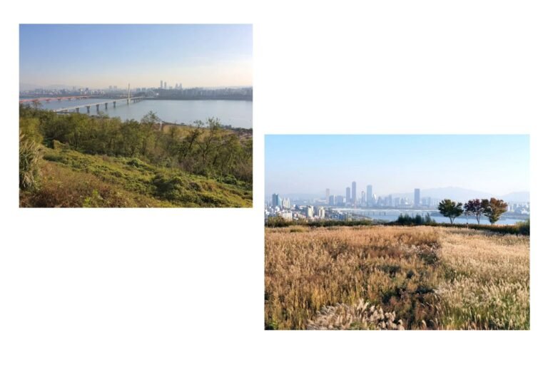 Han River from Haneul Park