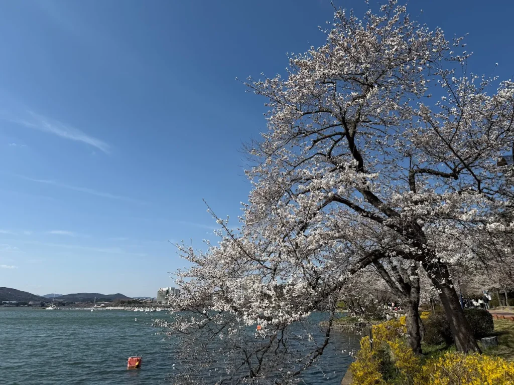 Bomun Lake