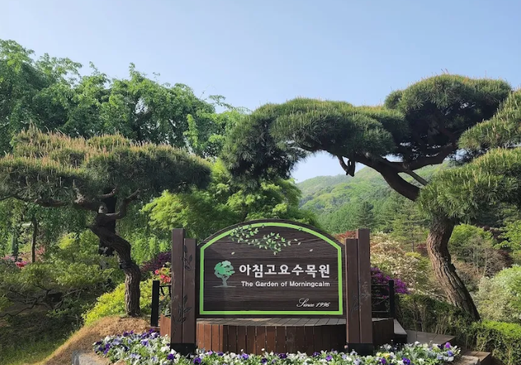 Garden of Morning Calm: Complete Visitor Guide - South Korea