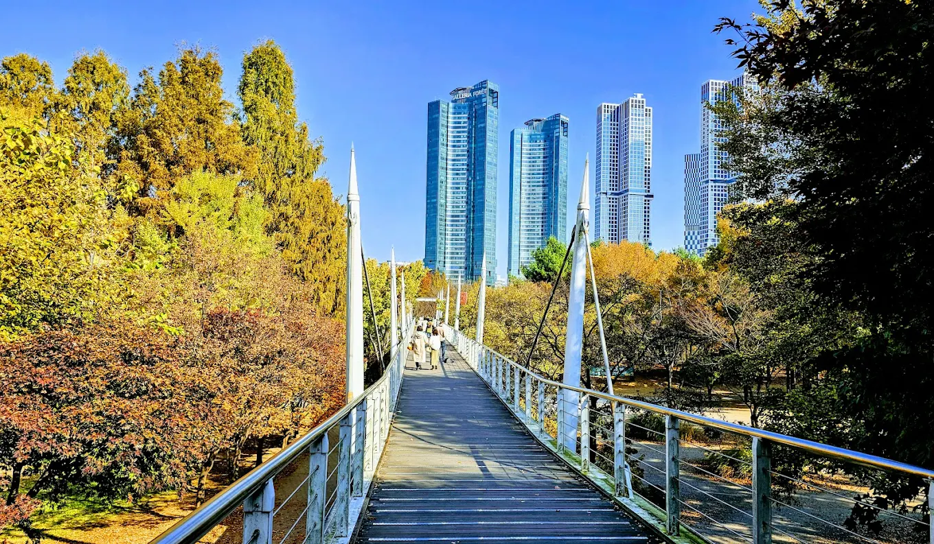 Seoul Forest Park: A Traveler’s Guide